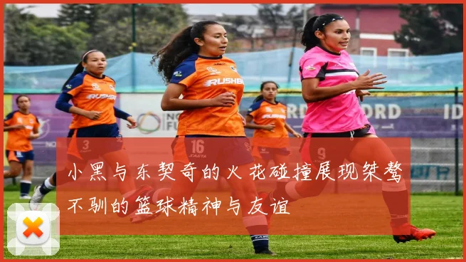 小黑与东契奇的火花碰撞展现桀骜不驯的篮球精神与友谊