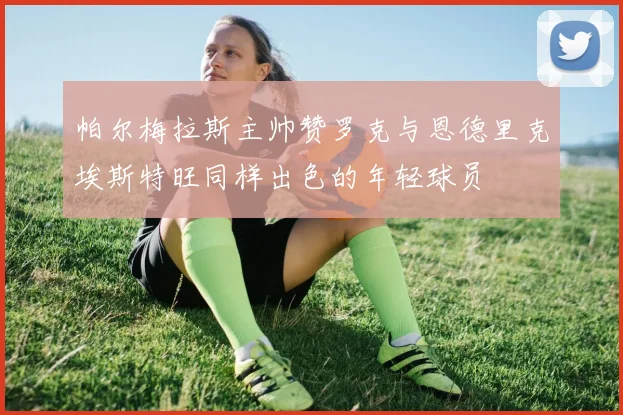 帕尔梅拉斯主帅赞罗克与恩德里克埃斯特旺同样出色的年轻球员