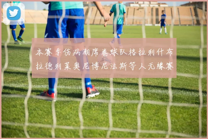 本赛季伤病潮席卷球队格拉利什布拉德利莱奥尼博尼法斯等人无缘赛季余下比赛