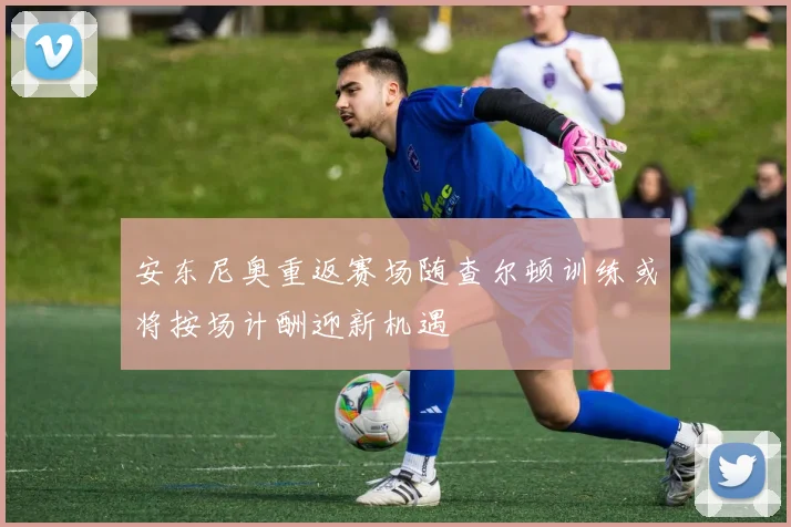 安东尼奥重返赛场随查尔顿训练或将按场计酬迎新机遇