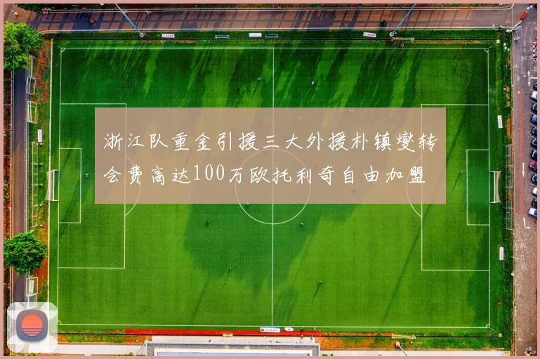 浙江队重金引援三大外援朴镇燮转会费高达100万欧托利奇自由加盟