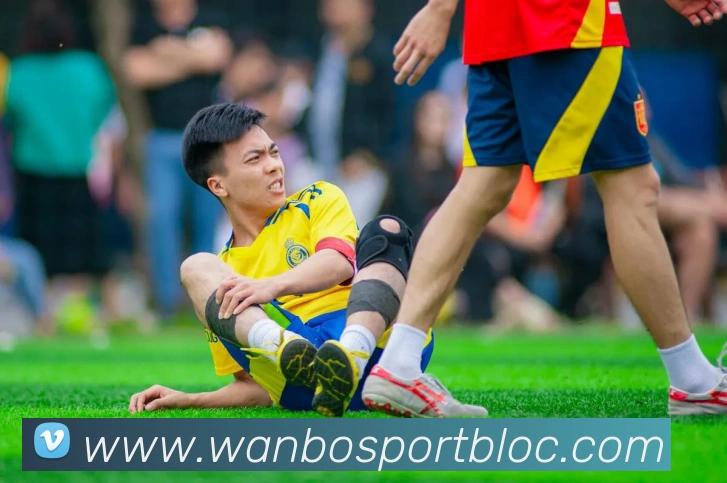 万博足球官网平台生态图