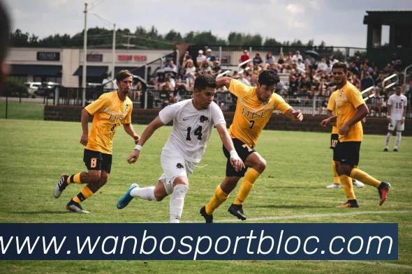 万博足球官网APP 封面图