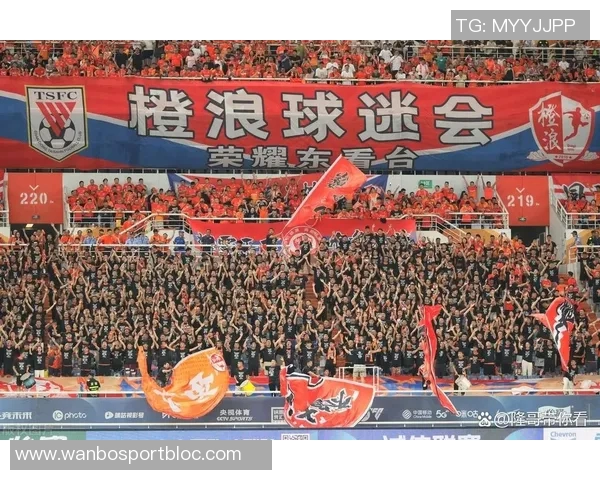 致敬石家庄铁人球迷你们与我们共度风雨携手并肩永远是最棒的第十二人