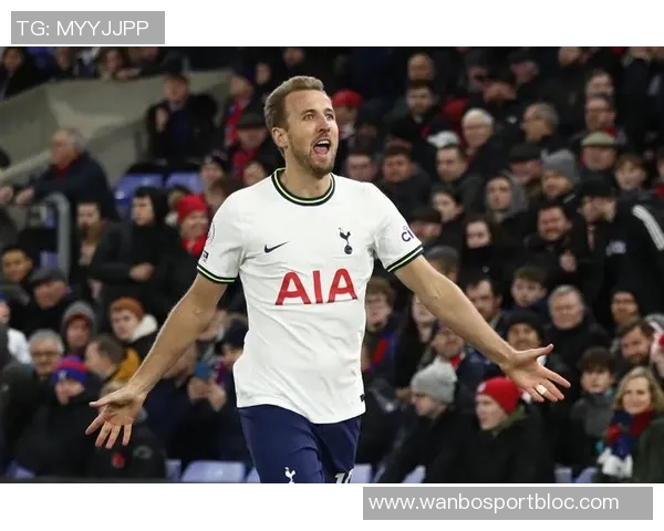 天空报道凯恩脚踝受伤能否参加与威尔士热身赛仍存疑问